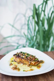 Fresh fish fillet with spicy salsa and olive oil sauce