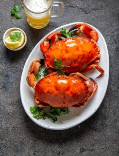 Whole cooked crabs on white plate with lemon and beer. Gray concrete background. Top view