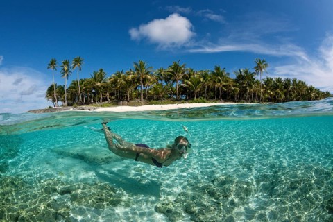 Snorkelling off Palm Island, Fadol, Kai Islands, Moluccas, Indonesia, Asia