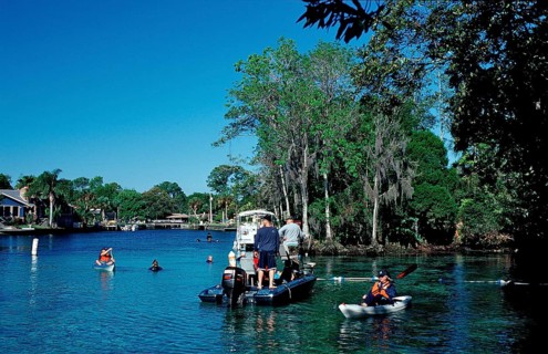Three Sisters Manatee Sanctuary, USA, Florida, FL, Crystal River, North America