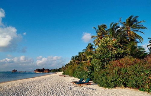 Maldivian beach, Maldives, Indian Ocean, Medhufushi, Meemu Atoll, Asia