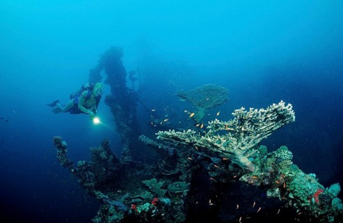 Diver on the Umbria shipwreck, Sudan, Africa, Red Sea, Wingate Reef, Africa