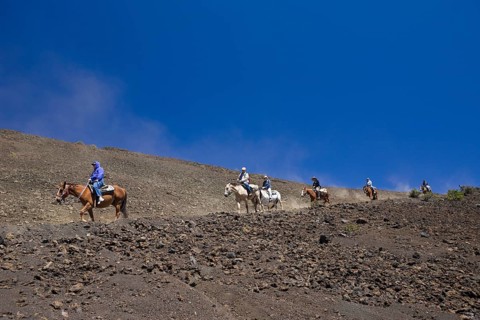 Horseback riding in the crater of the Haleakala volcano, Maui, Hawaii, USA, North America