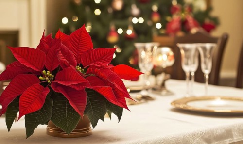A red poinsettia flower sits on a table in front of a Christmas tree. The table is set with a white