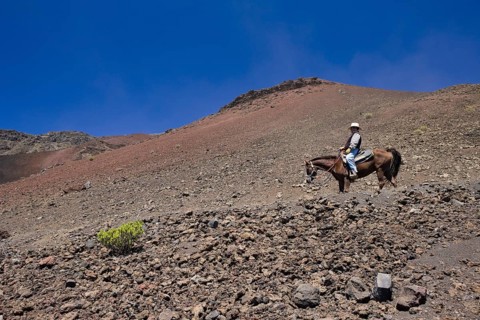 Horseback riding in the crater of the Haleakala volcano, Maui, Hawaii, USA, North America