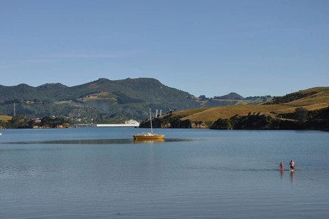 People at a beach in Otago Harbour near Dunedin, South Island, New Zealand, Oceania