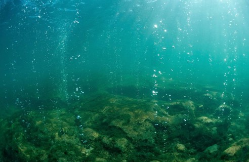 Volcanic gas bubbles, Bahamas, Great Abaco, Atlantic Ocean, Central America