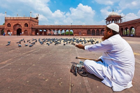 DELHI, INDIA, AUGUST 29, 2011: Muslim man feeding pigeons in India largest mosque Jama Masjid.