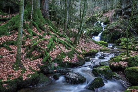 Gertelbach, Gertelbach Waterfalls, Gertelbach Falls, Gertelbach Gorge, Bühl, Bühlertal, Northern