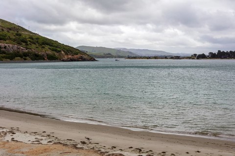 Strand, Otago-Halbinsel, Neuseeland