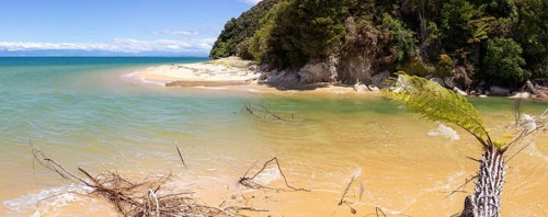Abel Tasman Coast Track, Apple Tree Bay, Beach, Kaiteriteri, New Zealand, Oceania