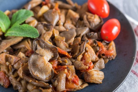 Fried oyster mushrooms with tomatoes on gray concrete background. side view, close up