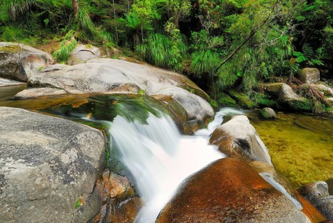 Small waterfall, Cleopatra's Pool, Abel Tasman National Park, Nelson Region, South Island New