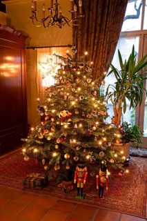 Europe, Germany, Christmas tree, Christmas tree in living room, Christmas, traditional tree