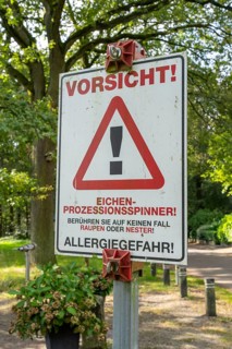 Warning of the oak processionary moth, in a public park, touching can lead to caterpillar