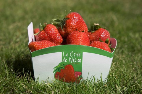 Box filled with the famous fraises de Wépion, Belgian capital of the strawberry near Namur,