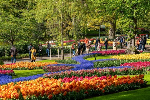 The Keukenhof, gardens, amusement park, spring park, spring flower show, near Lisse, South Holland,