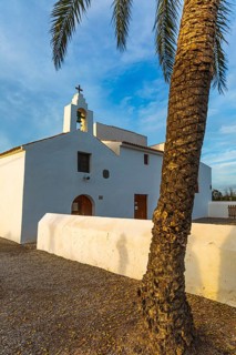 Palm tree in front of the church Sant Francesc de s'Estany, Ibiza, Balearic Islands, Mediterranean