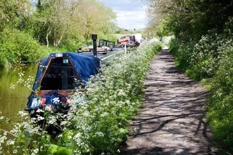 Kennet and Avon canal stretch between All Cannings and Alton Barnes, Vale of Pewsey, Wiltshire,