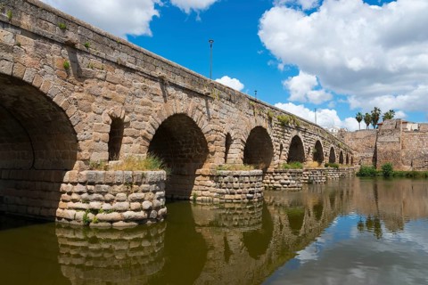 Stone bridge over a river, surrounded by a city wall and palm trees, under a blue sky, Roman