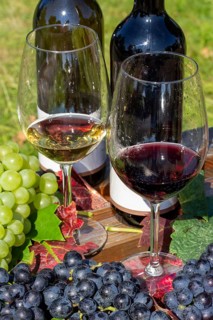 Symbolic image of grape grape harvest: Ripe grapes decorated with wine glasses on a wooden table