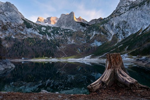 The Hintere Gosausee lake in autumn with a view of the Dachstein mountain range. A tree stump in