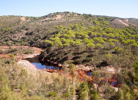 Blood red mineral laden water Rio Tinto river Minas de Riotinto mining area, Huelva province,