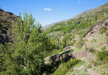 Landscape of the River Rio Poqueira gorge valley, High Alpujarras, Sierra Nevada, Granada Province,
