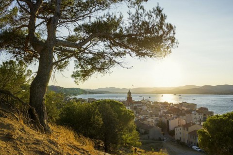 Panorama, Sunset, St. Tropez, Département Var, Cote d'Azur, Provence-Alpes-Côte d'Azur, South of