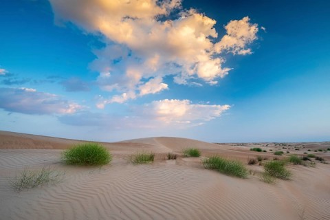 Sand dunes, Wahiba Sands desert, Sharqiya sand, Oman, Asia