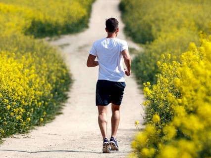 A jogger runs past rape fields in bloom, Teltow, 13/05/2023