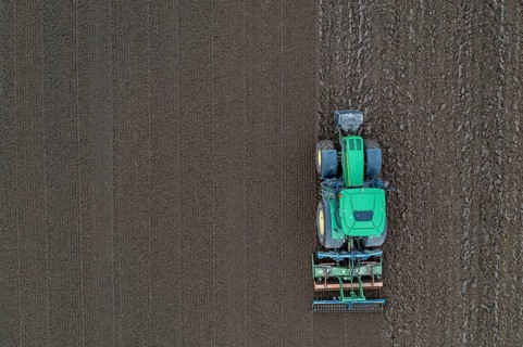 Early potatoes are laid in the soil of the field with a planting machine, tractor with roundabout