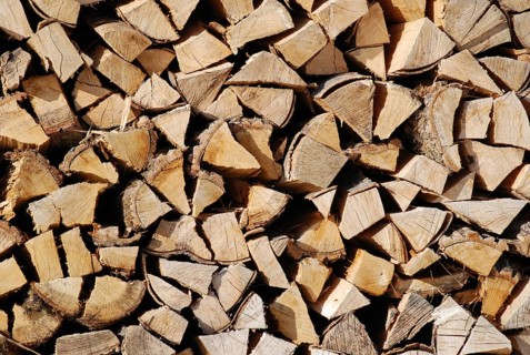 Firewood, firewood, stack, Vienna, Austria, Europe
