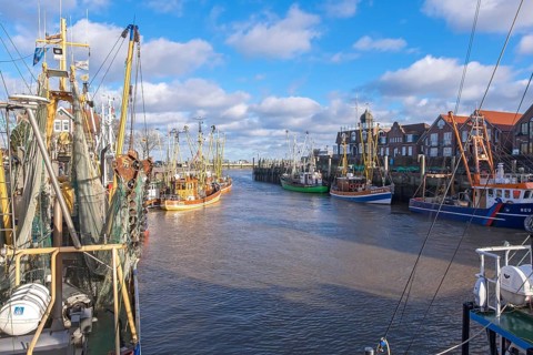 Cutter harbour Neuharlingersiel, shrimp cutter, East Frisia, Lower Saxony, Germany, Europe