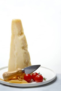 A piece of Parmesan cheese with cheese knife, pasta and tomatoes, Italy, Europe