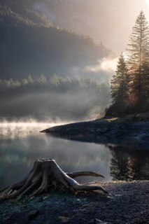 The Vordere Gosausee in autumn. A tree stump in the foreground. Fog rises from the lake. Sun,