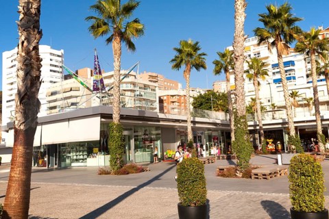 Palm trees cast shadows in new port development Muelle Uno in Malaga, Spain, Europe