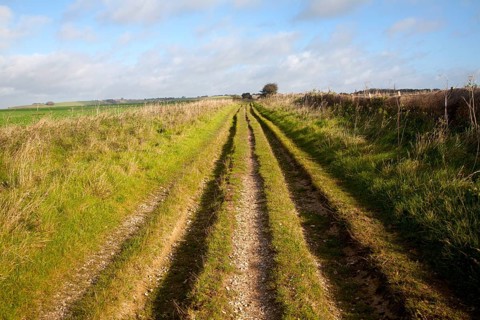 The Ridgeway long distance footpath dating from prehistory near its start on Overton Hill,