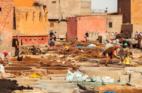 Traditional tannery with dyeing vats for animal skins, Marrakech, Morocco, Africa