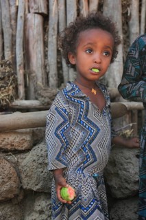 Amhara region, little girl eating fruit, Ethiopia, Africa