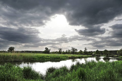 Unregulated natural course of the Spree, Mönchwinkel, 16 05 2023