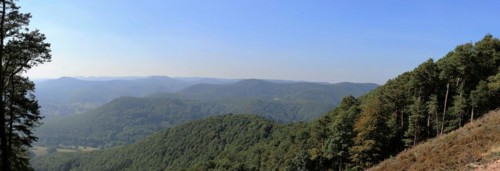 View of the Rhine plain from the summit plateau of the Orensberg (southern Wine Route)