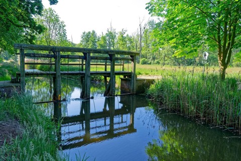 Lock on the Friedrichskanal and Dannefelder Moorgraben in the UNESCO Drömling Biosphere Reserve.