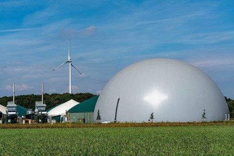 Biogas plant, combined heat and power plants, for power generation, dome-shaped gas storage, wind