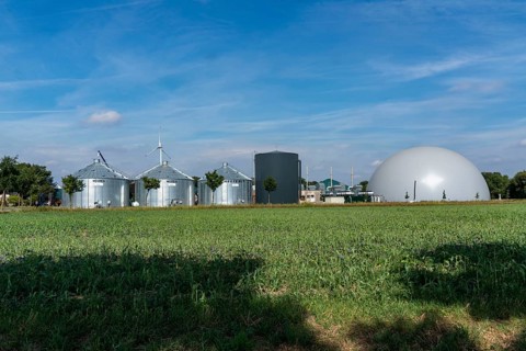 Biogas plant, storage silos, large buffer tank for hot water for intermediate energy storage,