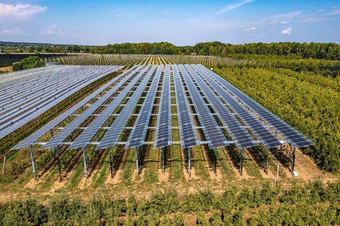 Agri-photovoltaic test plant, an apple orchard with two different systems of PV modules was roofed