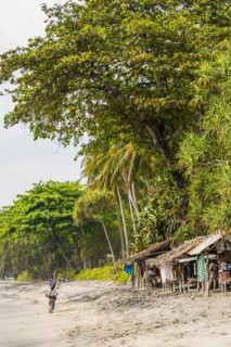 Merchant at Mangsit beach in Sengiggi, seller, palm beach, travel, tourism, sea, beach, water, palm