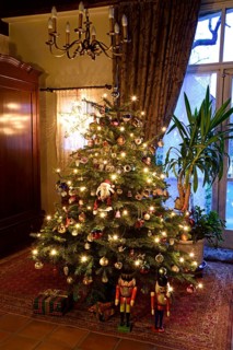 Europe, Germany, Christmas tree, Christmas tree in living room, Christmas, traditional tree