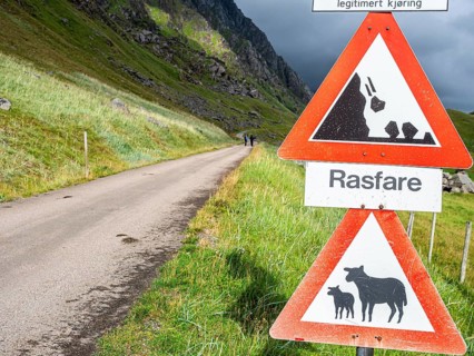 Mountain road from Haukland beach to Uttakleiv, warning signs, no public traffic, be aware of sheep