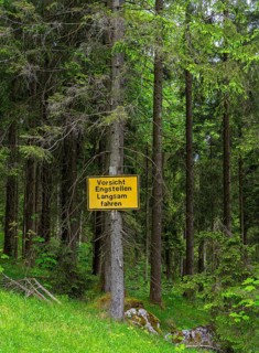 Yellow sign in the forest, ski area at the Götschen Alm, Bavaria, Germany, Europe